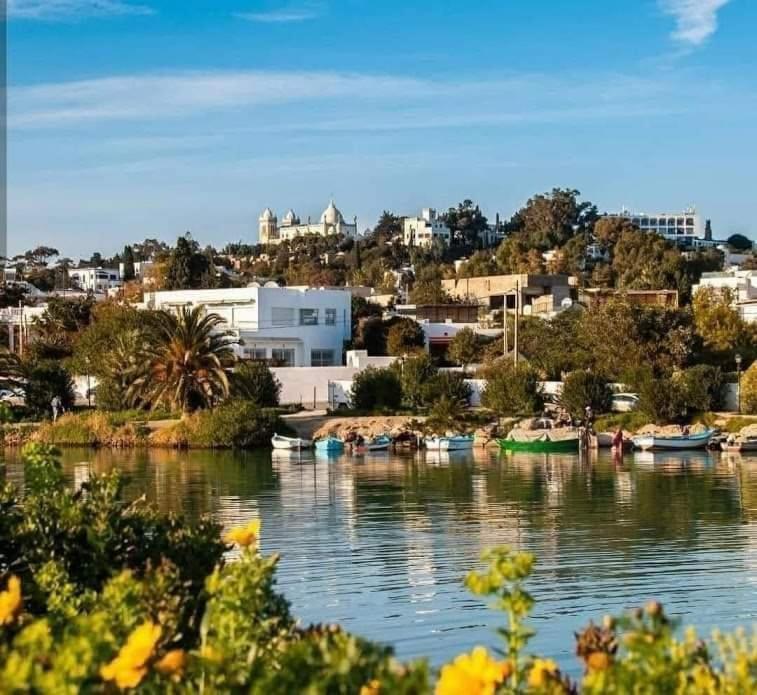 Appartement A Carthage Byrsa Екстер'єр фото