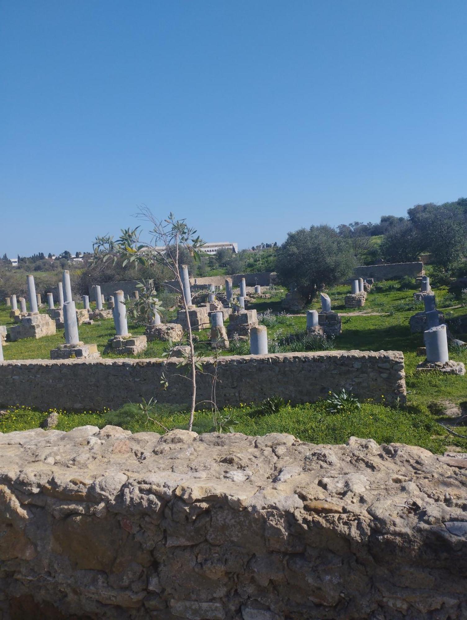 Appartement A Carthage Byrsa Екстер'єр фото
